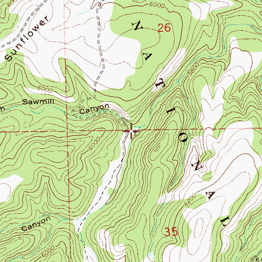 Topographic Map of Sawmill Well, NM