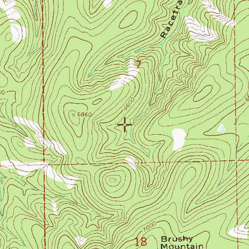 Topographic Map of Racetrack Tank, NM