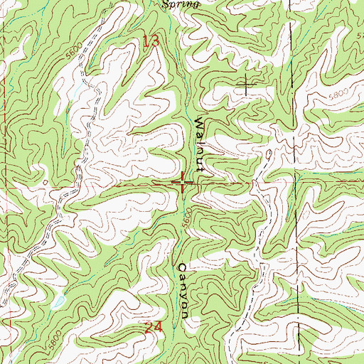 Topographic Map of Walnut Spring, NM