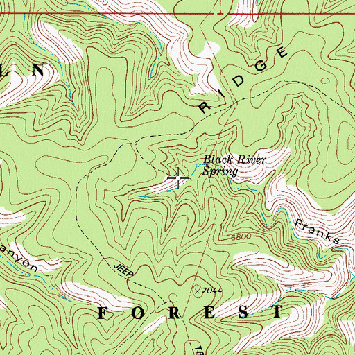 Topographic Map of Black River Storage Tank, NM