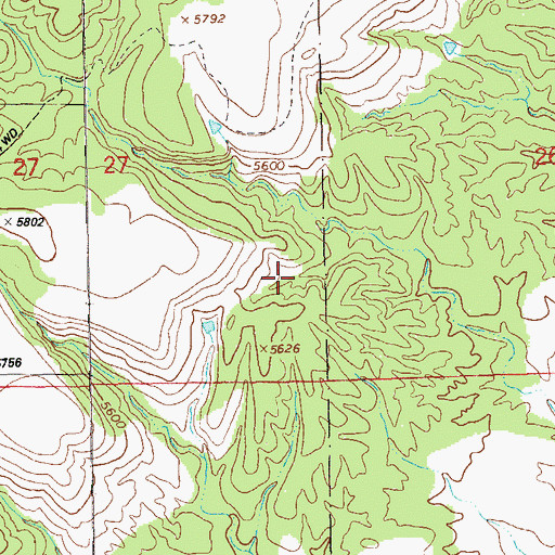 Topographic Map of Back of Pasture Tank, NM