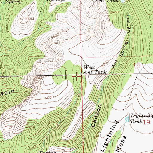 Topographic Map of West Ant Tank, NM