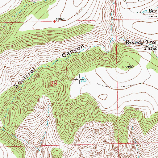 Topographic Map of Rough Tank, NM