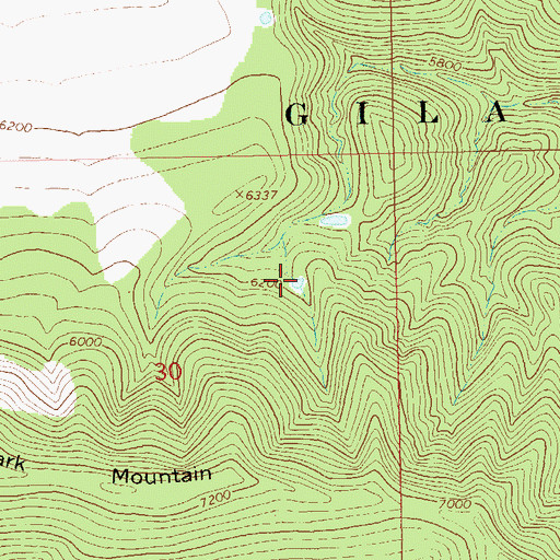 Topographic Map of Carcass Basin Number One, NM