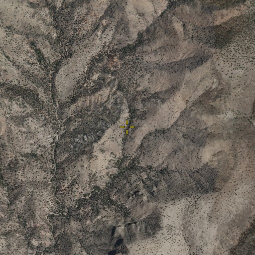 Aerial/Satellite Image of Pasture Spring, NM