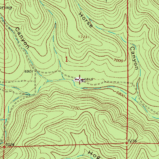 Topographic Map of Burnt Well, NM
