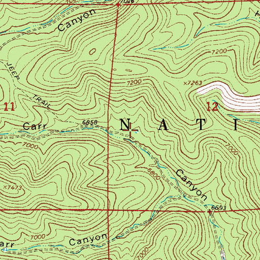 Topographic Map of Carr Canyon Tank, NM