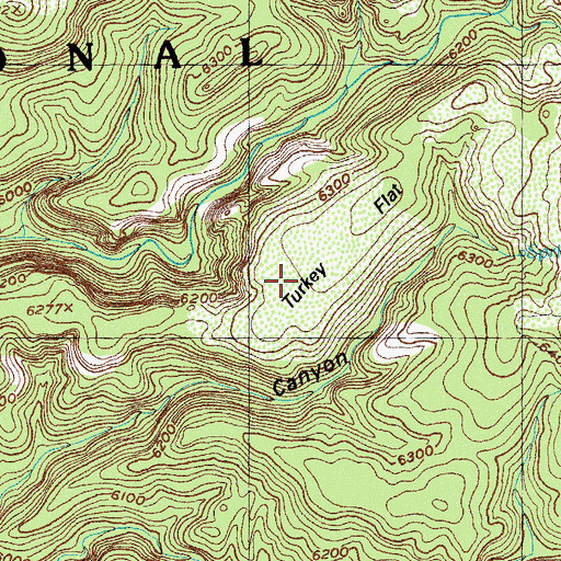 Topographic Map of Turkey Flat, NM