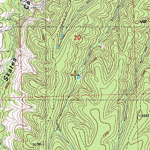 Topographic Map of Elk Pasture Tank, NM