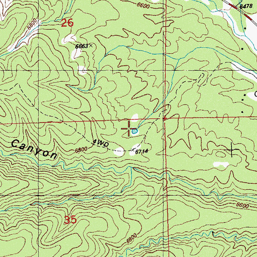 Topographic Map of Steer Tank, NM
