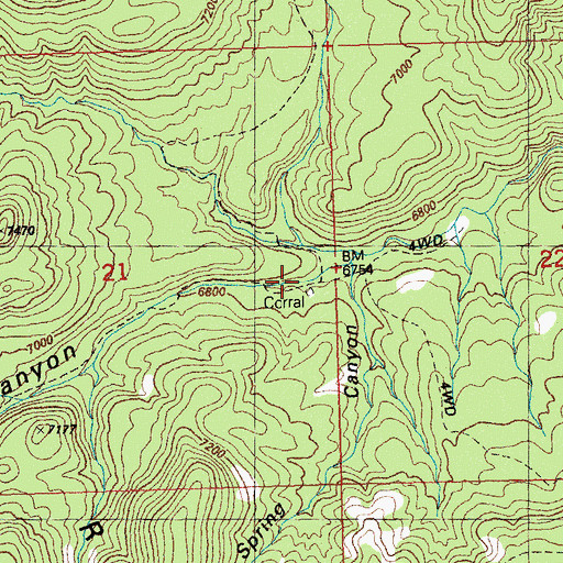 Topographic Map of Redgate Corral, NM