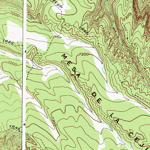 Topographic Map of Cejeta North Trick Tank, NM