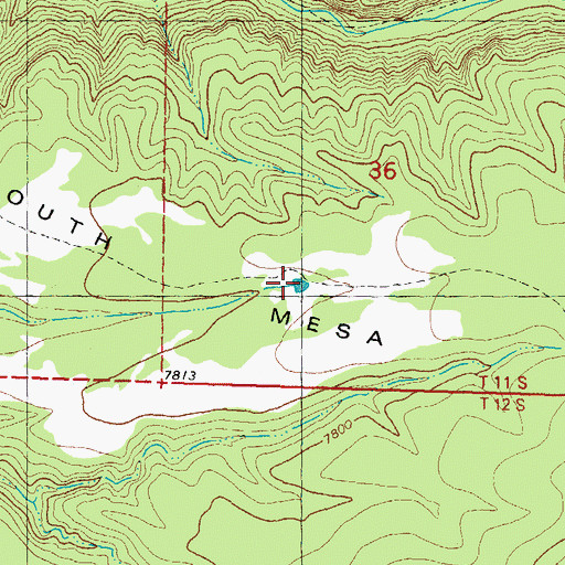Topographic Map of South Mesa Tank, NM