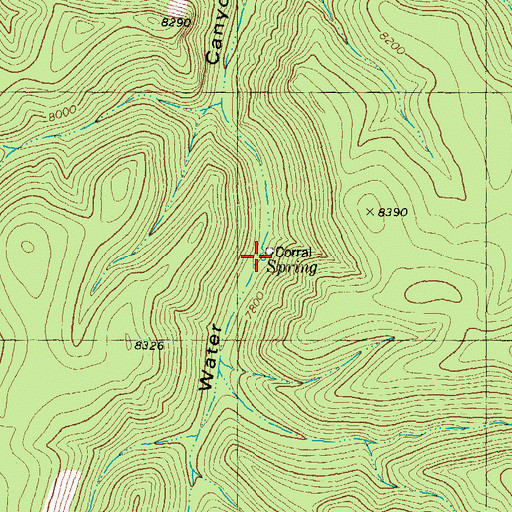 Topographic Map of Running Water Spring, NM