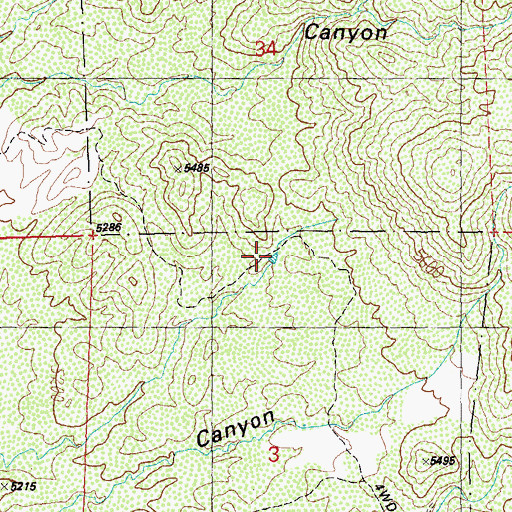 Topographic Map of Cottonwood Tank, NM