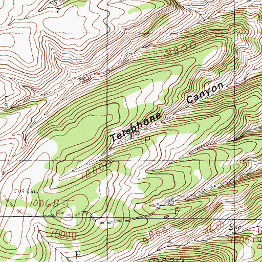 Topographic Map of Indian Tank, NM