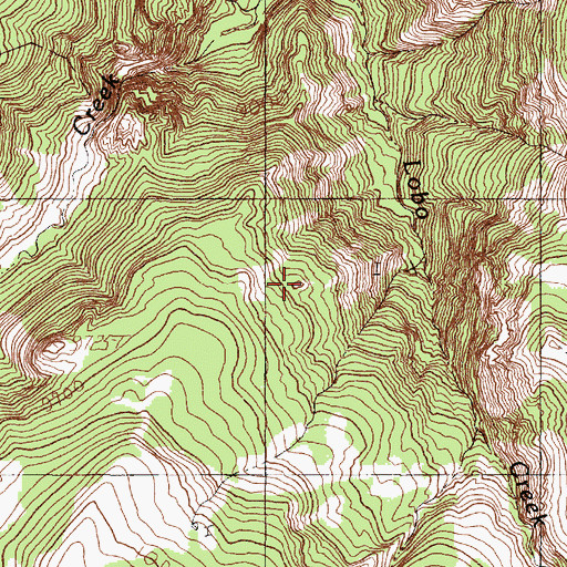 Topographic Map of Beaver Tank, NM