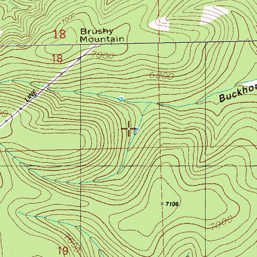 Topographic Map of Buckhorn Tank, NM
