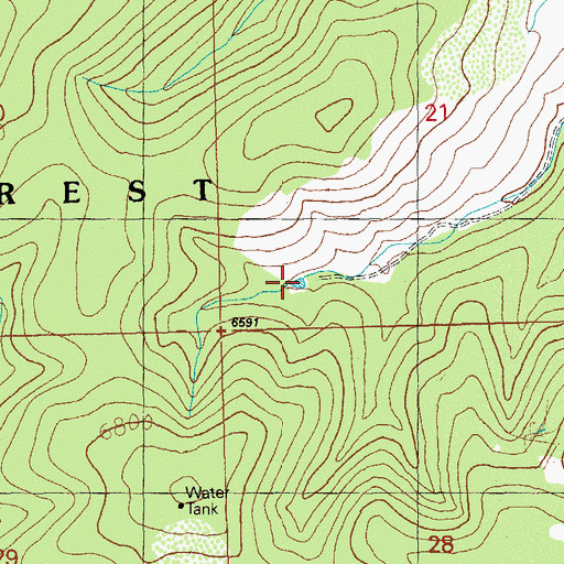 Topographic Map of Forrest Tank, NM