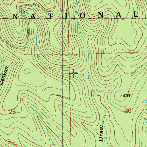 Topographic Map of Rough Canyon Tank, NM