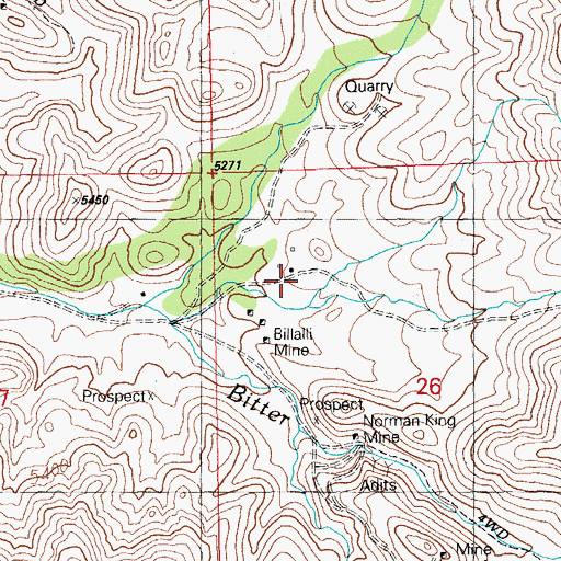 Topographic Map of Moore Place Windmill, NM