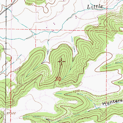 Topographic Map of Lincoln Hills, NM
