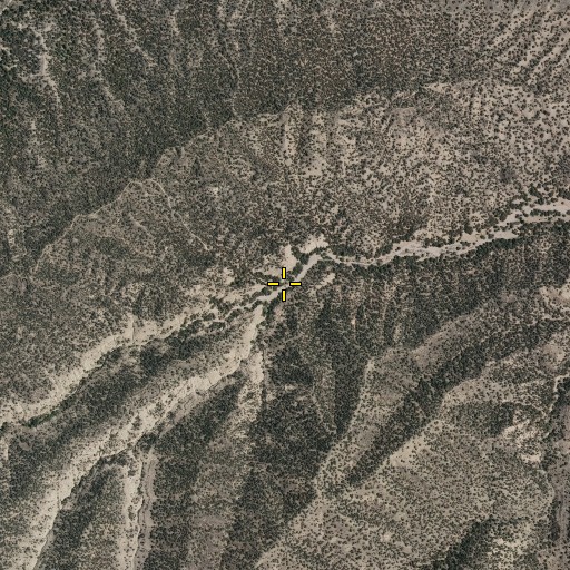 Aerial/Satellite Image of Bathtub Canyon, NM