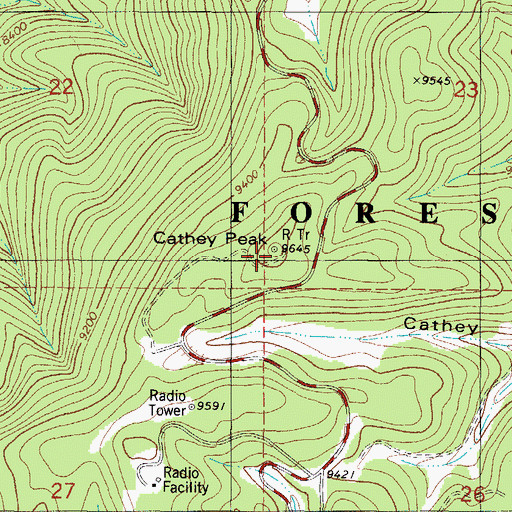 Topographic Map of Cathey Vista, NM
