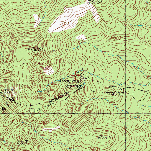 Topographic Map of Grey Bull Spring, NM