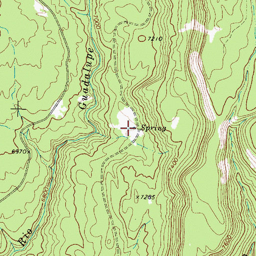 Topographic Map of Butterfly Spring, NM
