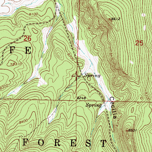 Topographic Map of Cecilia Spring, NM