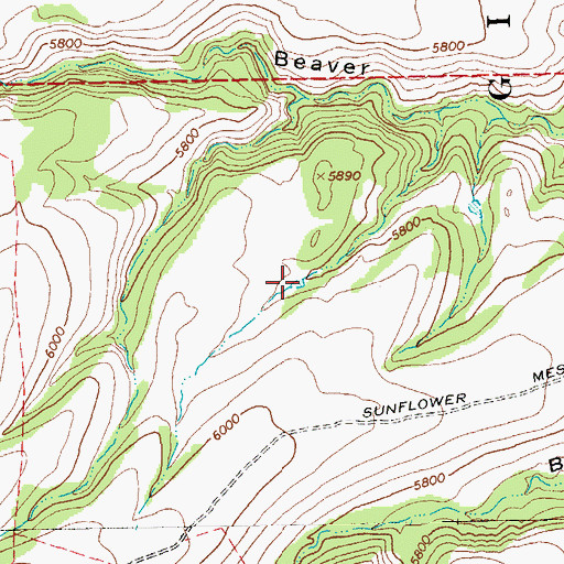 Topographic Map of Pit Tank, NM