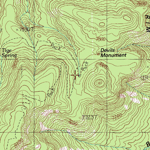 Topographic Map of Devil Spring, NM