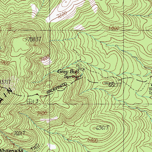 Topographic Map of Gray Bull Spring, NM