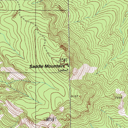 Topographic Map of Saddle Mountain Lookout, NM