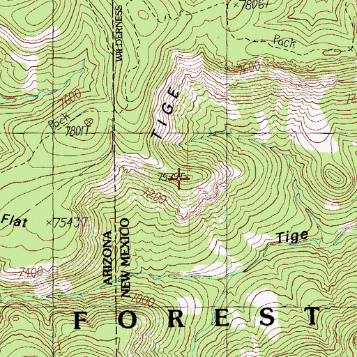 Topographic Map of Tige Rim, NM
