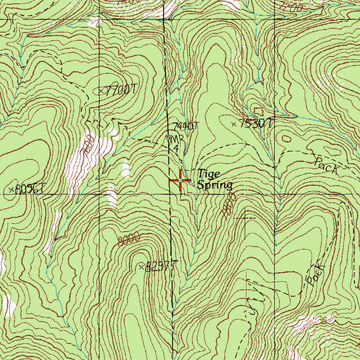 Topographic Map of Tige Spring, NM