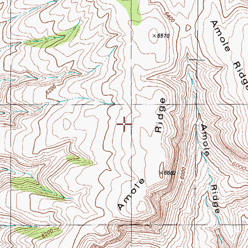 Topographic Map of Amole Ridge, NM