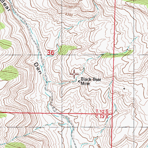 Topographic Map of Black Bear Mine, NM
