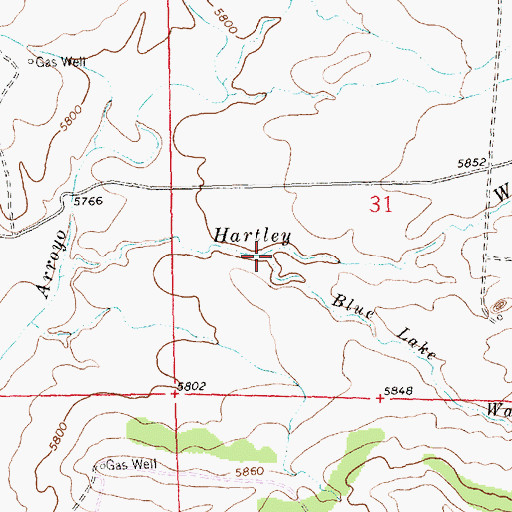 Topographic Map of Blue Lake Wash, NM