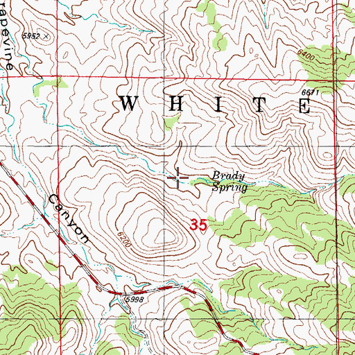 Topographic Map of Brady Spring, NM