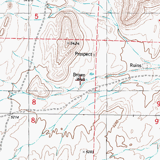 Topographic Map of Brown Well, NM