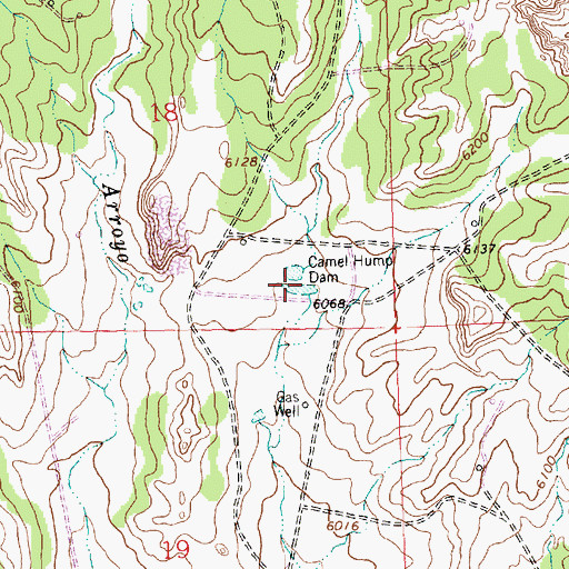Topographic Map of Camel Hump Dam, NM