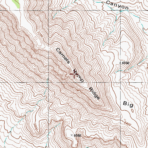 Topographic Map of Camels Hump Ridge, NM