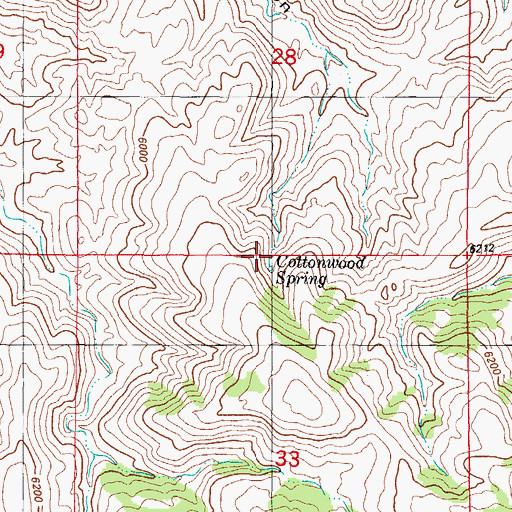 Topographic Map of Cottonwood Spring, NM