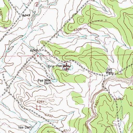Topographic Map of Drip Pee Wee Dam, NM