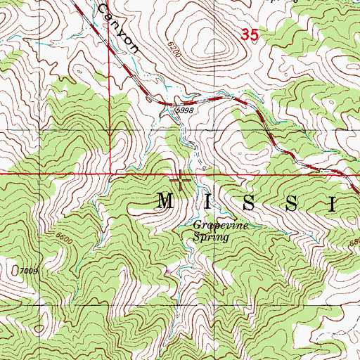 Topographic Map of Grapevine Spring, NM