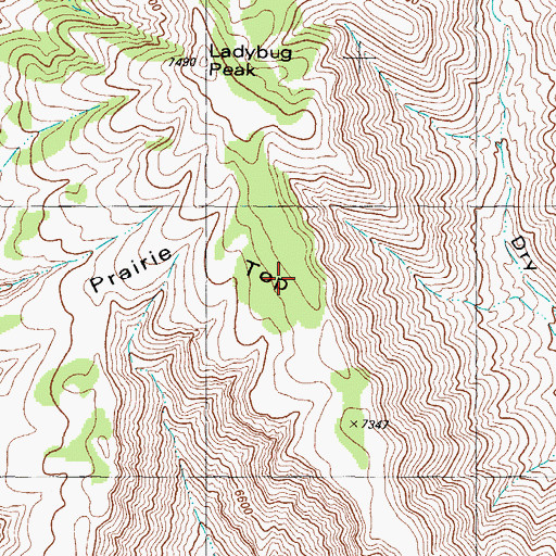 Topographic Map of Prattie Top, NM