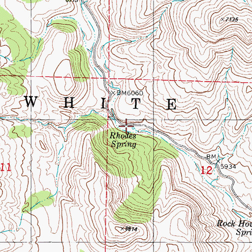 Topographic Map of Rhodes Spring, NM