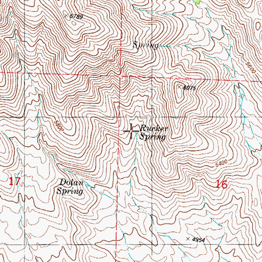 Topographic Map of Rucker Spring, NM